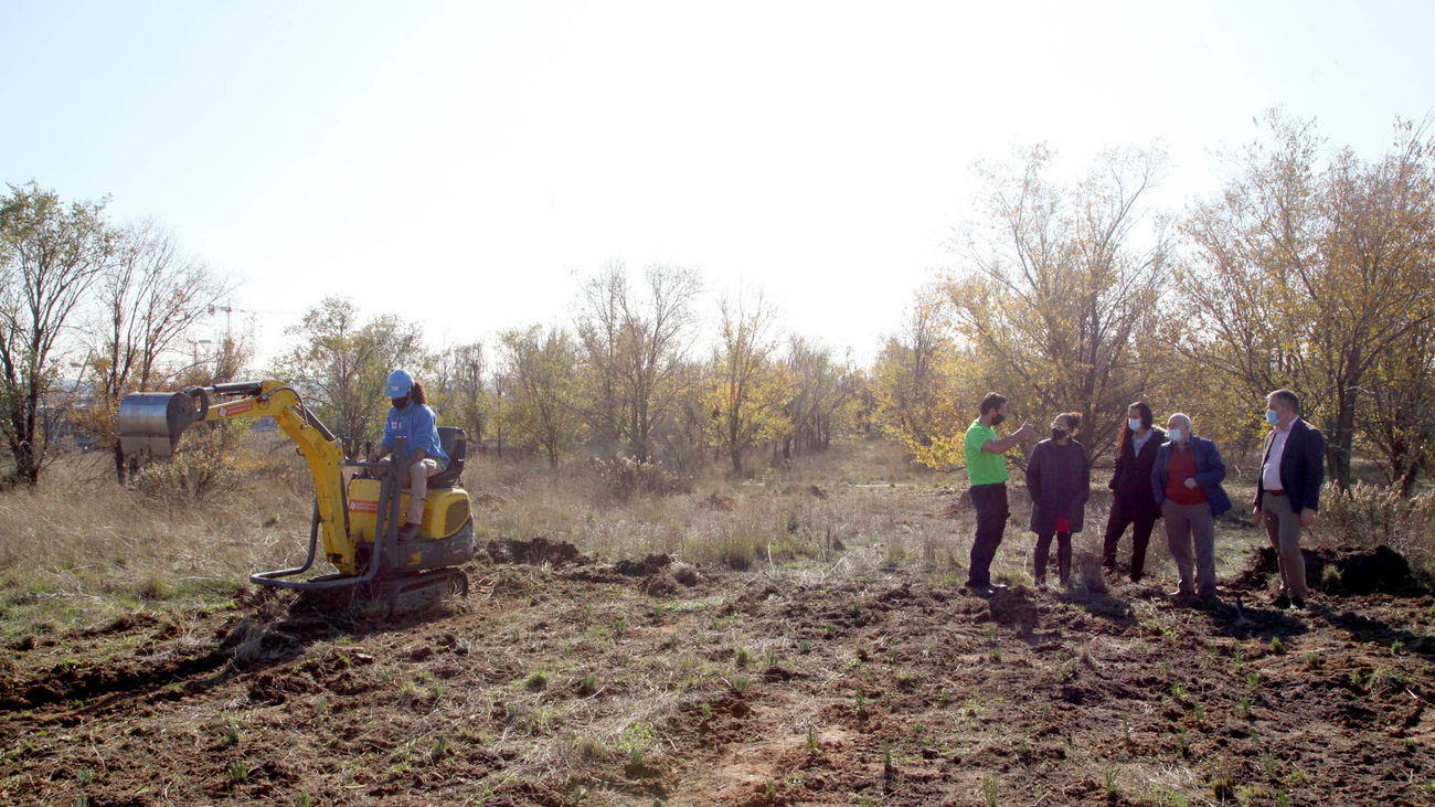 Alcobendas comienza a reforestar el antiguo vertedero municipal