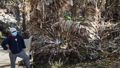 El río Jarama, amenazado por las aguas fecales de los PAUs de Madrid