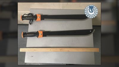 Los vecinos de Ciudad Lineal atemorizados por las peleas entre bandas