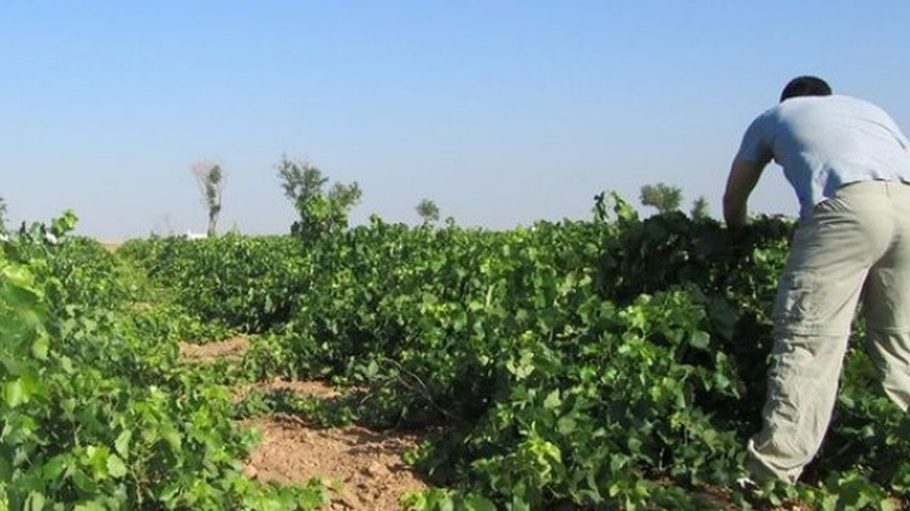 La Autónoma investiga las iniciativas agroecológicas más innovadoras del país