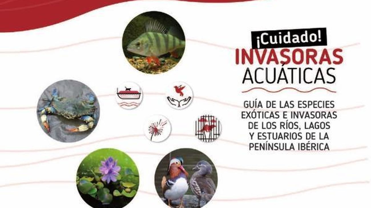 Una guía trilingüe ayuda a conocer las especies invasoras acuáticas ibéricas