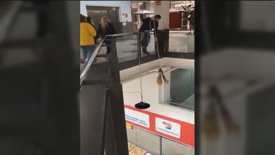 Roban jamones con una cuerda en un supermercado de Guadalajara