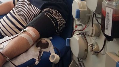 Más de 1000 madrileños ofrecen su plasma hiperinmune para ayudar a enfermos de Covid-19
