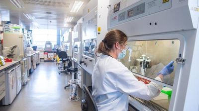 ¿Obligados a vacunarnos?