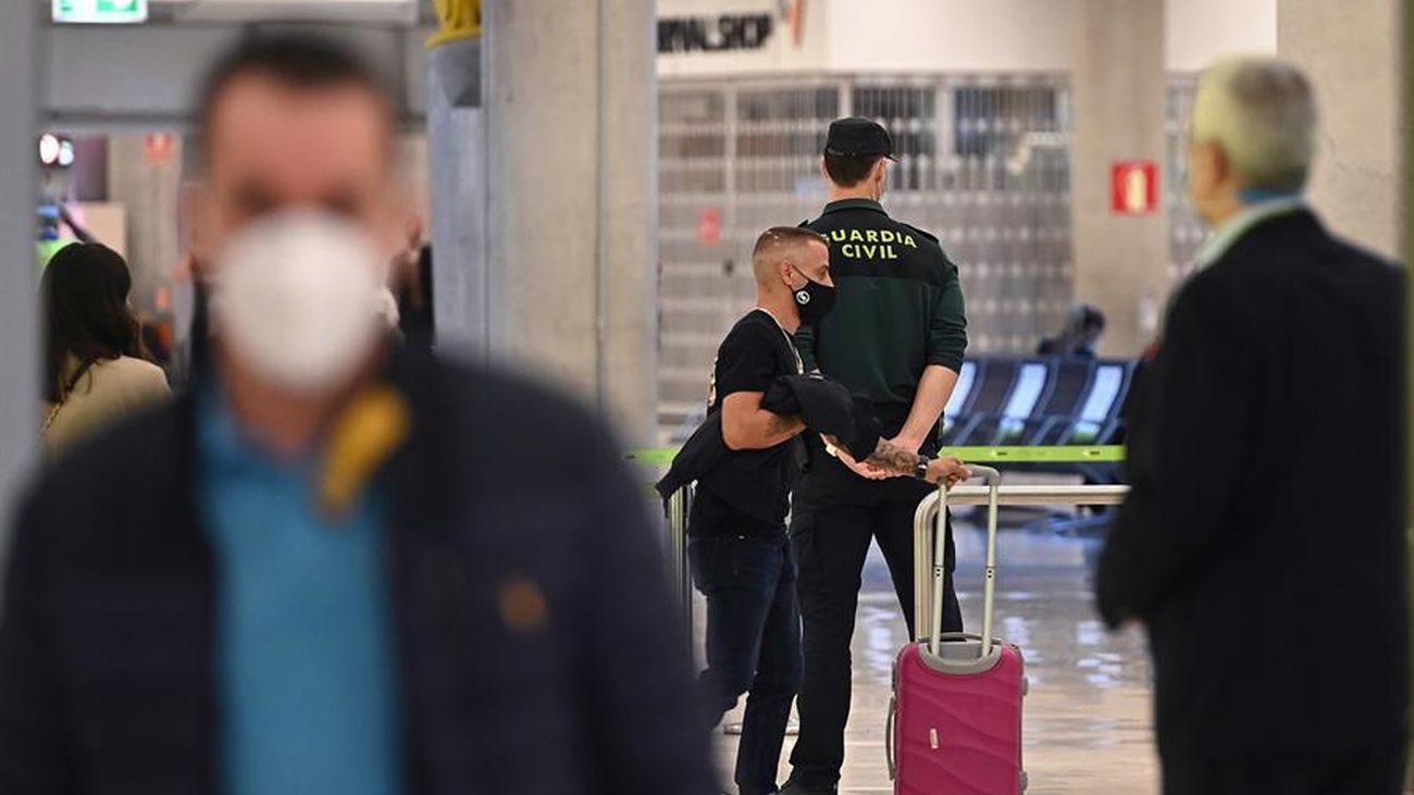 Esquiladores uruguayos llegados a Extremadura por Barajas provocan un brote con 23 casos
