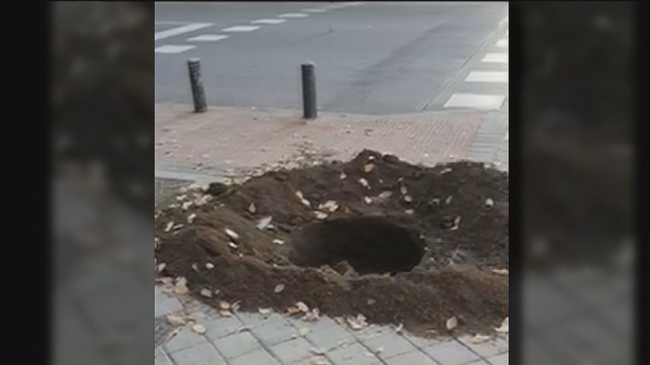 Buenos Días Madrid 25.11.2020 (10.30 - 11.30)