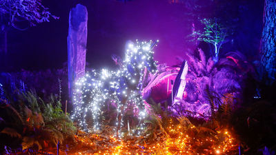 Planes en Madrid para disfrutar de la Navidad, pese al coronavirus