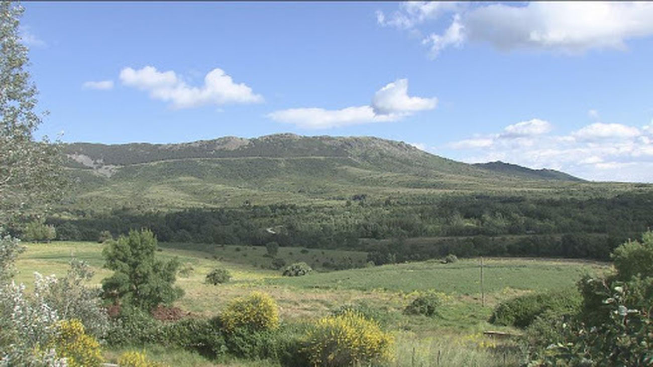 Ecologistas critica que se "arrasen" zonas de pasto en la Sierra del Rincón