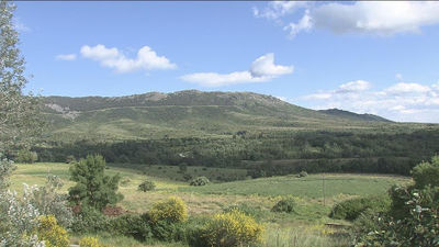 Ecologistas critican que se "arrasen" zonas de pasto en la Sierra del Rincón