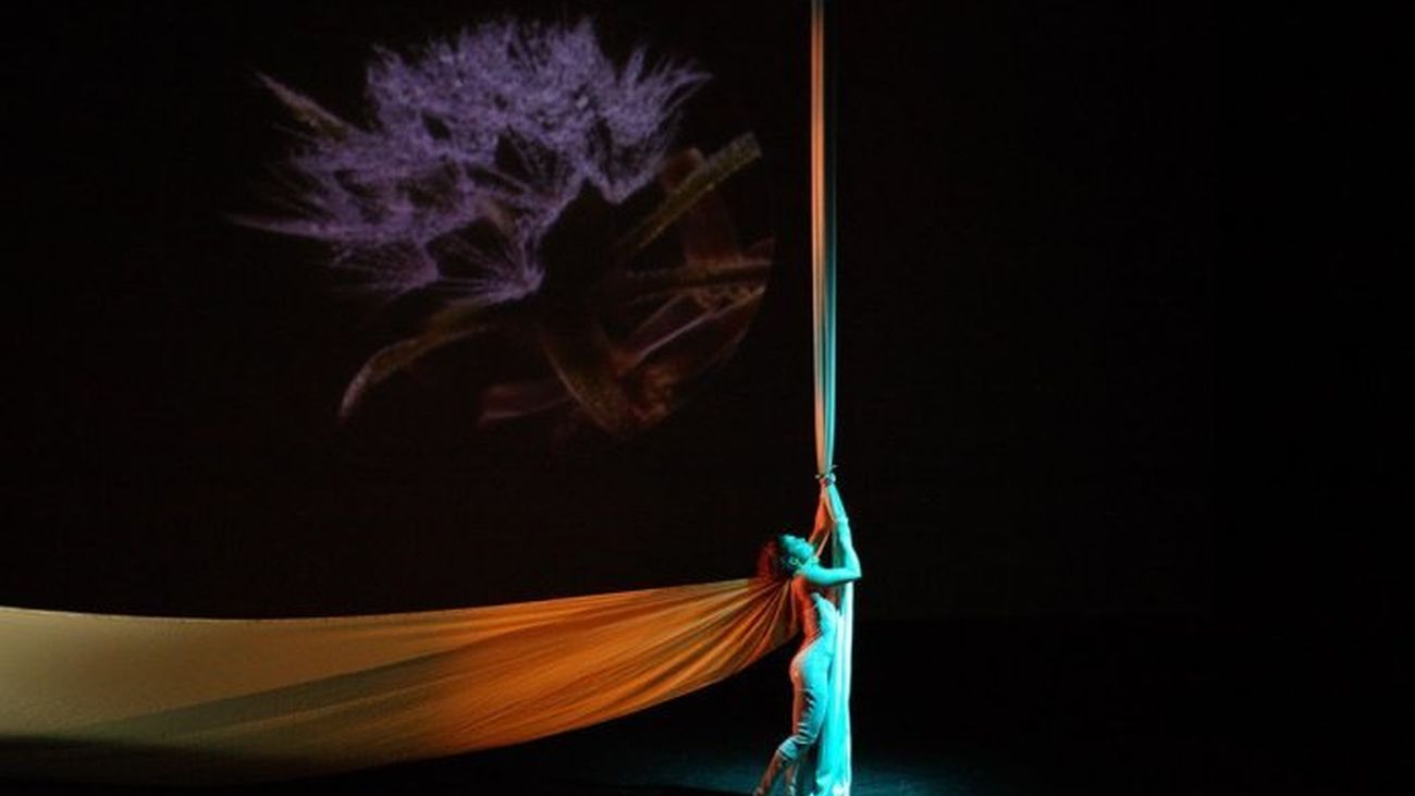 Los Teatros del Canal acogen un "jardín secreto"  los domingos de diciembre