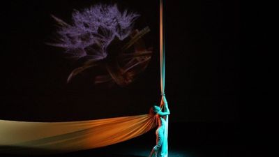 Los Teatros del Canal acogen un "jardín secreto" los domingos de diciembre