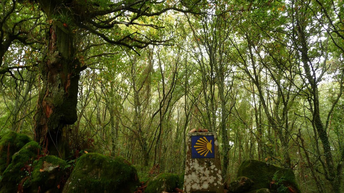 El Galeón de Manila: El Camino de Santiago