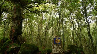 El Galeón de Manila: El Camino de Santiago