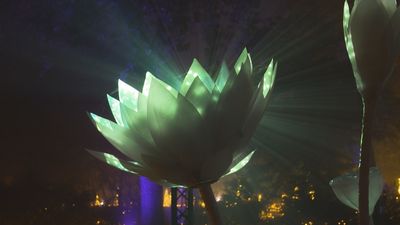 Una mágica experiencia inmersiva en el Real Jardín Botánico