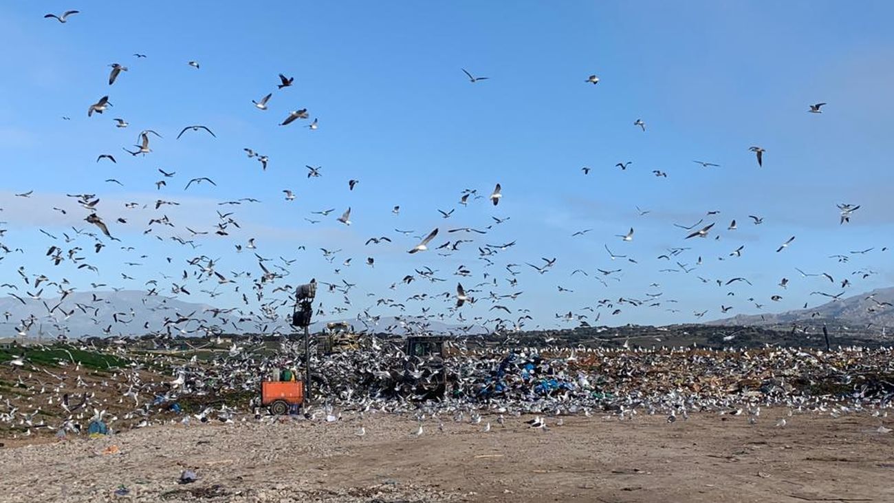 Autorizada la ampliación del vertedero de Colmenar para alargar su vida un año
