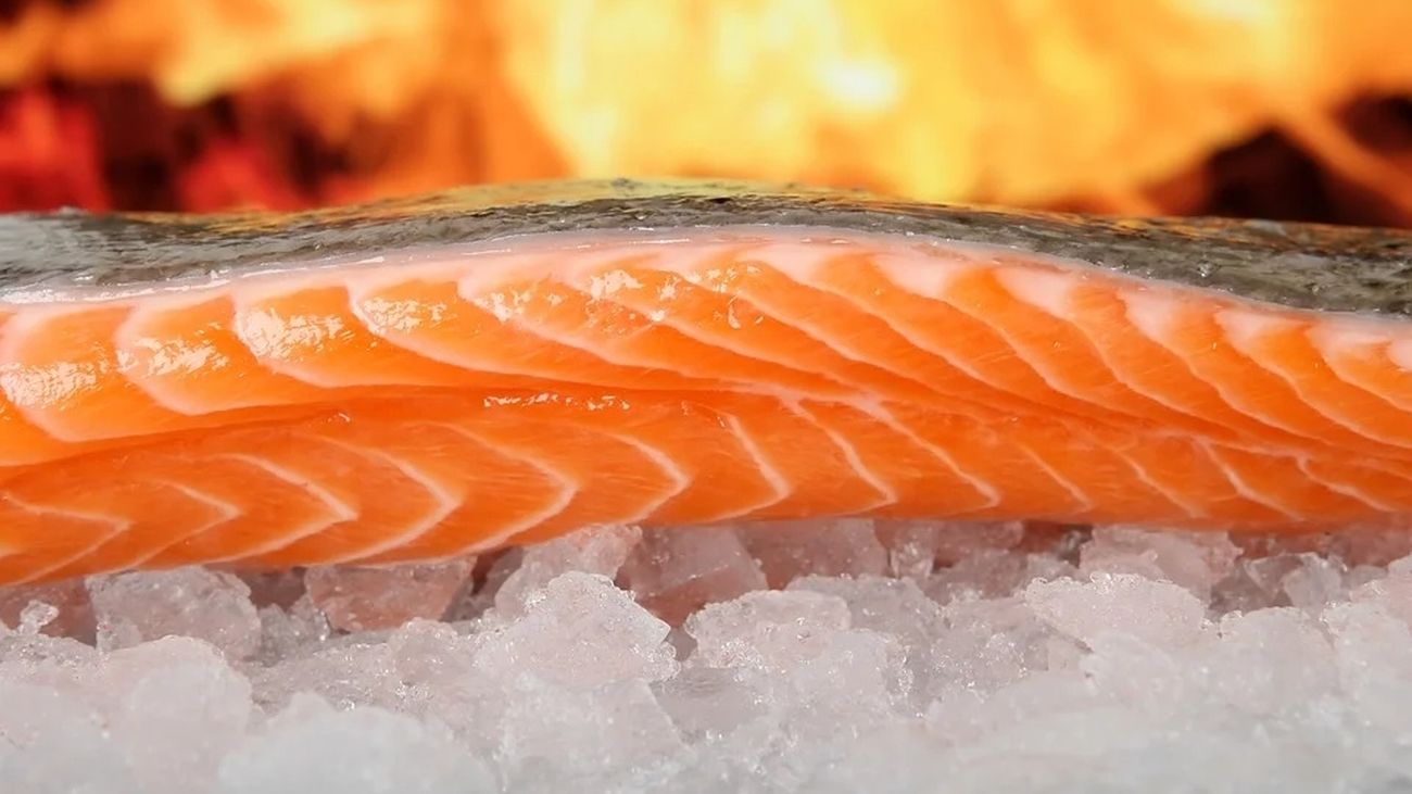 Consejos para congelar de manera correcta el pescado