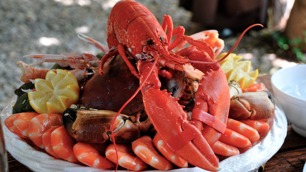 Todos los secretos para triunfar con el marisco estas navidades