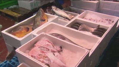 Los grandes mercados de Madrid ya están preparados para Navidad donde el marisco vuelve a ser la estrella