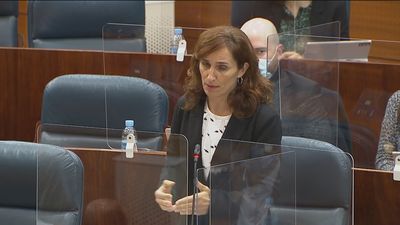 Cruce de reproches entre Más Madrid y el consejero de Hacienda en la Asamblea