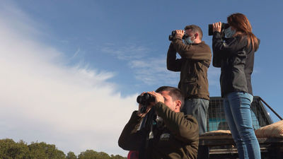 Mi cámara y yo: Turismo animal