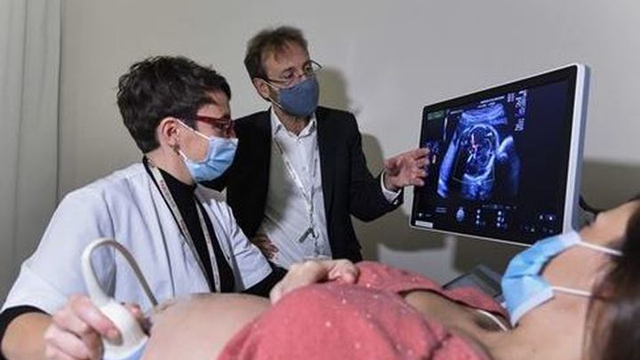 Barcelona  lidera el primer proyecto de placenta artificial en Europa