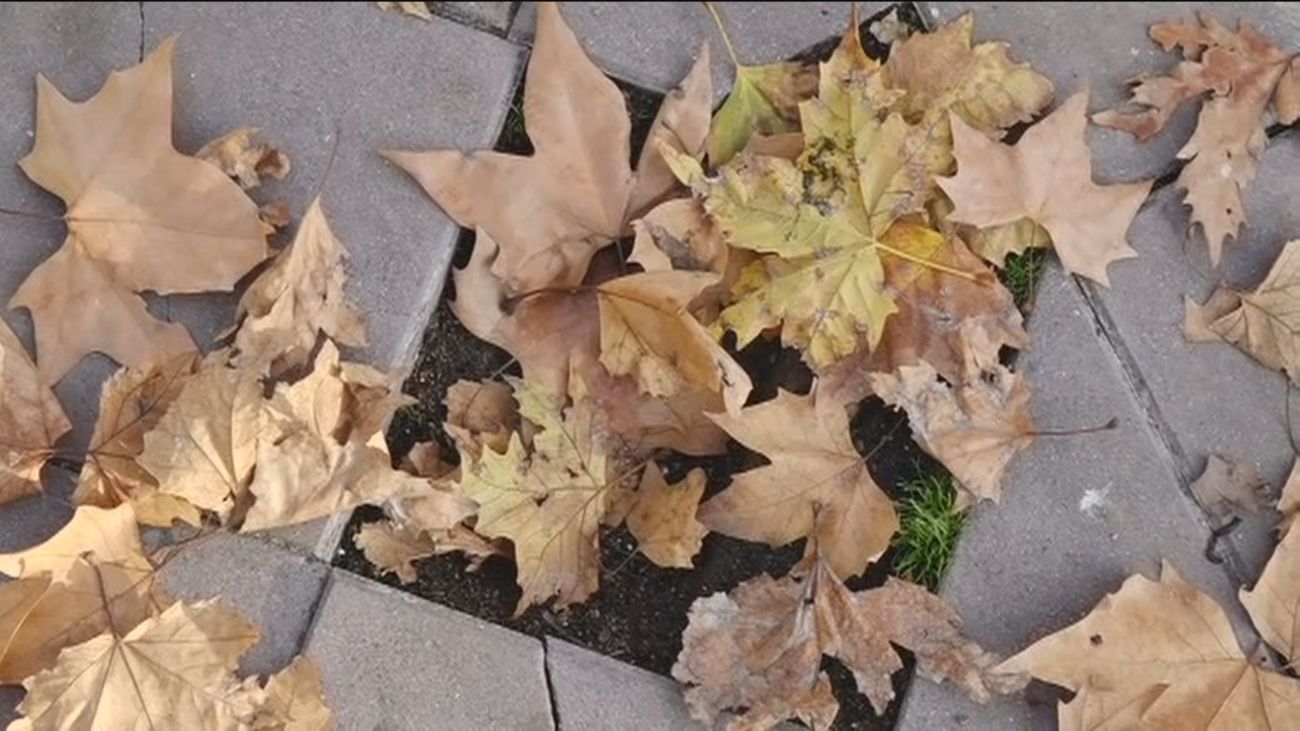 Los vecinos de Fuenlabrada denuncian el mal estado de las aceras