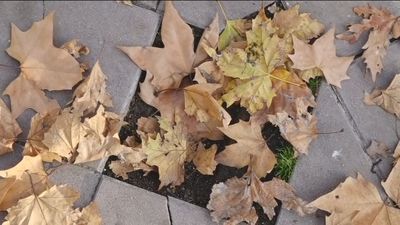 Los vecinos de Fuenlabrada denuncian el mal estado de las aceras