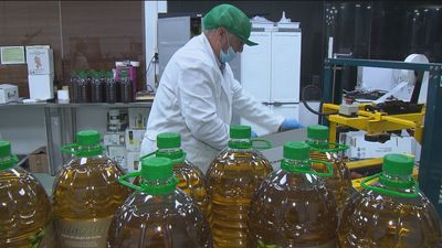 El aceite de orujo, “el mejor para freír del mundo”