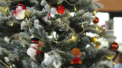 Cómo nevar un árbol de Navidad de forma casera