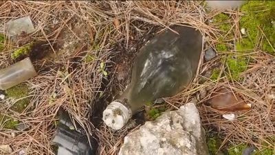 Todo un bosque convertido en vertedero en Arganda