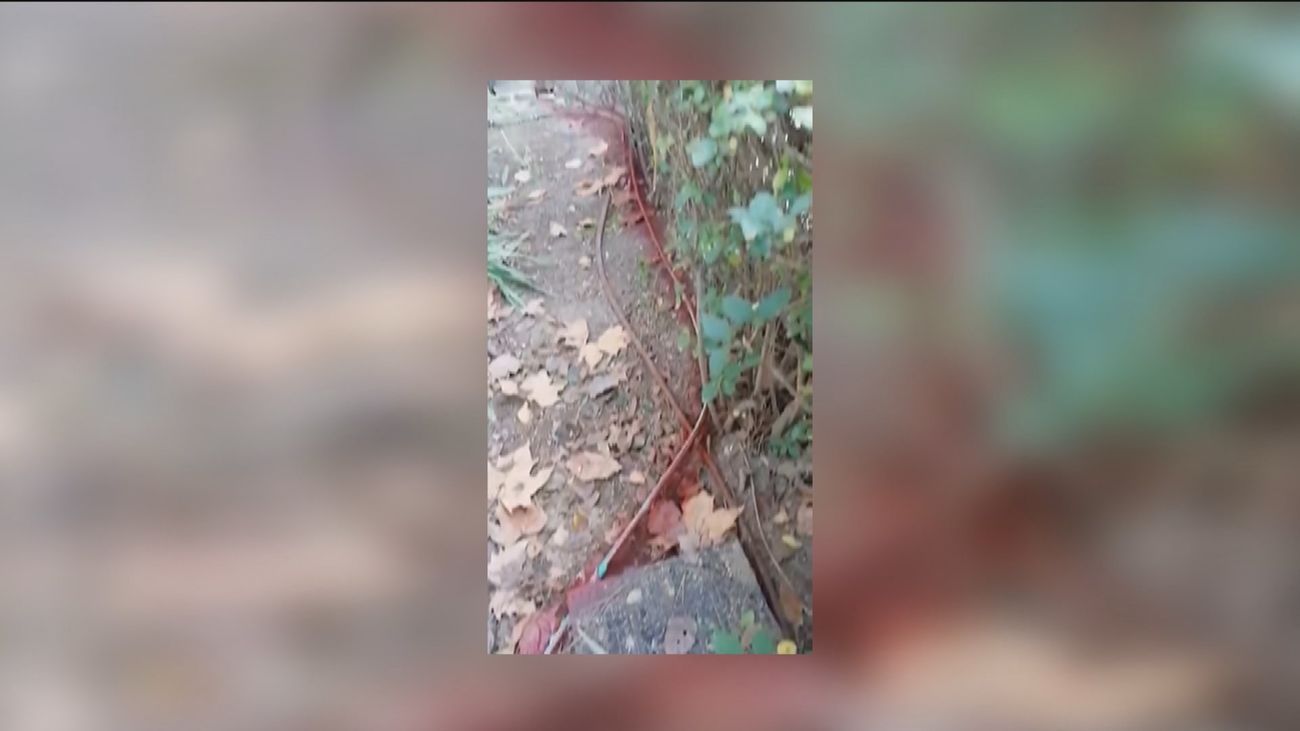 Telemadrid desvela nuevos enganches ilegales, esta vez en Rivas