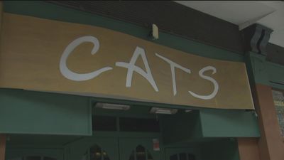 Vecinos de Chamberí denuncian peleas y aglomeraciones a la puertas de la discoteca Cats