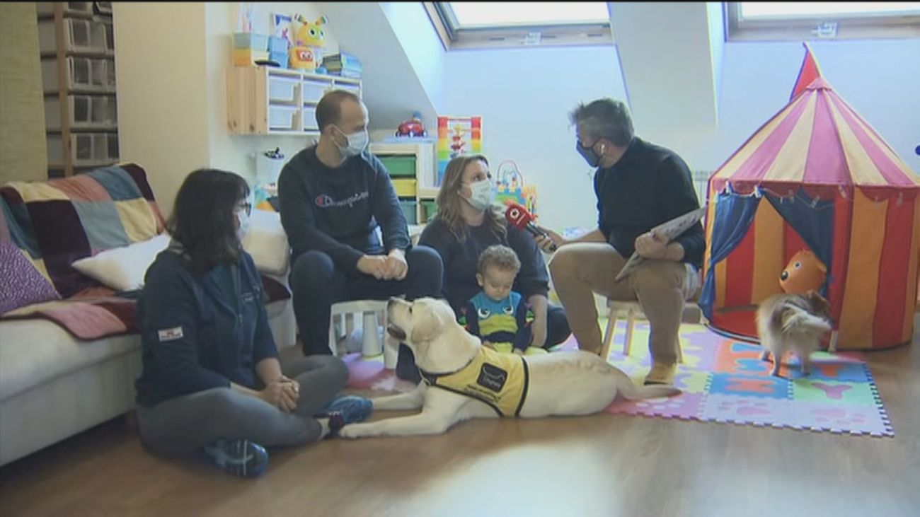 A la busca de un perro para Marco