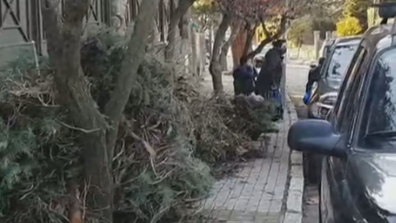 Vecinos de VIllaviciosa denuncian que las ramas de la poda invaden las aceras