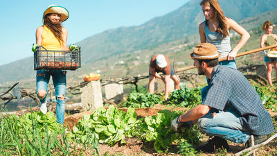 Di hola al pueblo y adiós a la ciudad con un proyecto emprendedor en zonas rurales