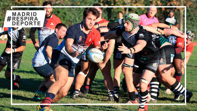 Rugby Majadahonda bate récords de licencias