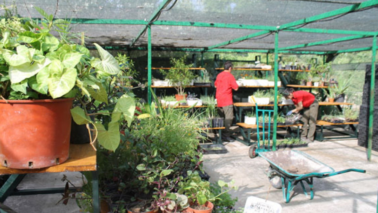 Todos los madrileños podemos llevar nuestros tiestos a este lugar cuando están enfermos