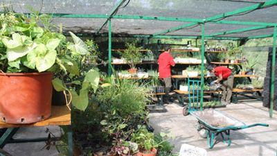 Así es el Hospital de Plantas de Pozuelo