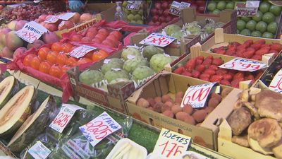 San Lorenzo de El Escorial dona alimentos a familias necesitadas
