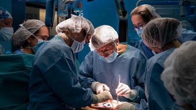 Nacer sin útero en España ya no es impedimento para tener hijos de forma natural