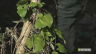 La original forma para hacer música de un vecino de Majadahonda