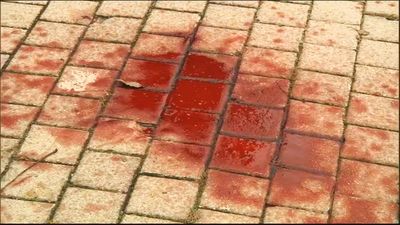 Así se produjo el apuñalamiento a un varón en Tres Cantos