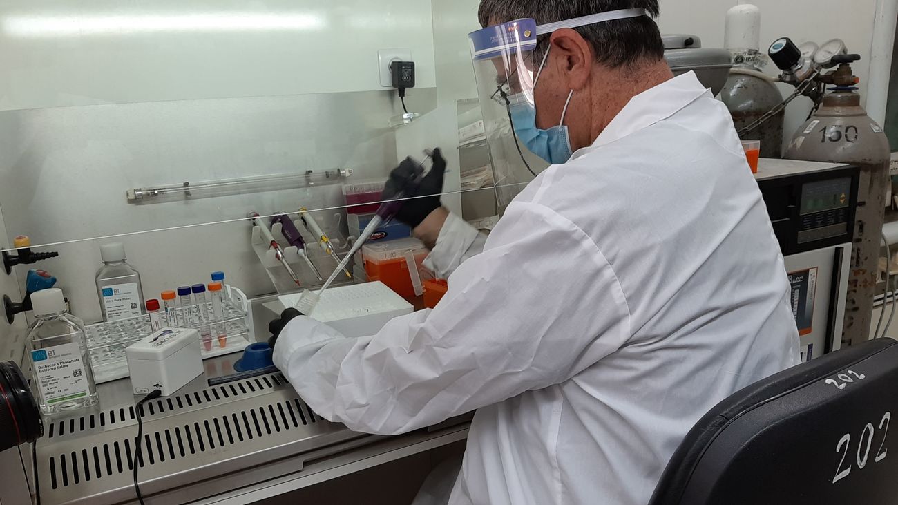 Investigador manipula muestras de coronavirus