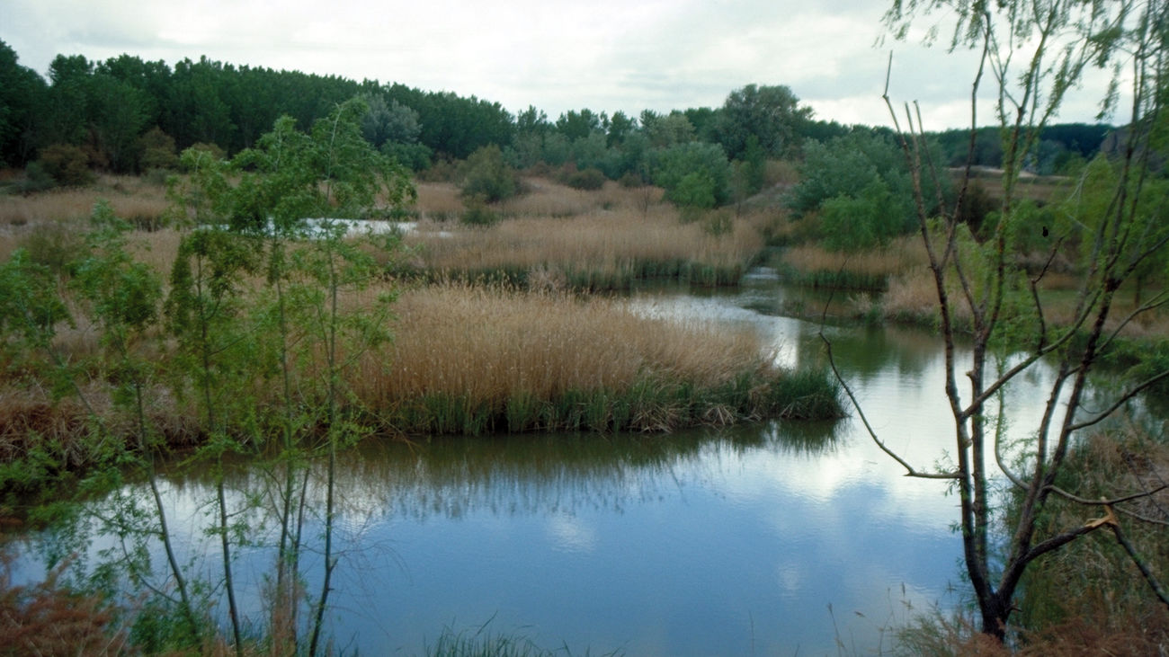 Rivas mejorará la entrada al Parque Regional del Sureste a petición vecinal