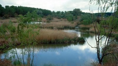 Rivas mejorará la entrada al Parque Regional del Sureste a petición vecinal