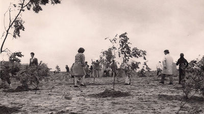 El Parque de las Cruces de Carabanchel cumple  40 años