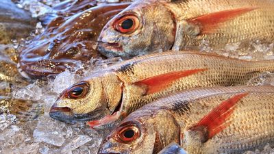 Madrid plato a plato: El besugo