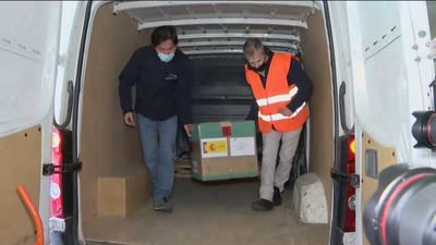 Casi 370.000 dosis de la vacuna de Pfizer llegan este martes a Madrid, Barcelona, Vitoria y Canarias