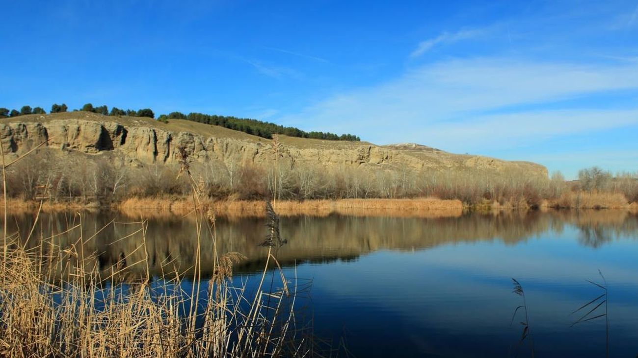 Malos olores y pérdida de fauna por la proliferación de algas en una laguna de Rivas