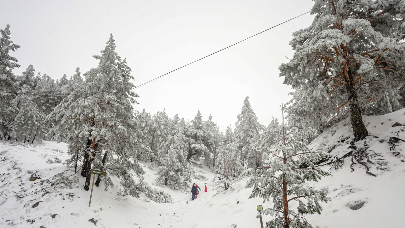 Paisaje nevado en Navacerrada